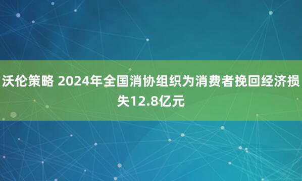 沃伦策略 2024年全国消协组织为消费者挽回经济损失12.8亿元